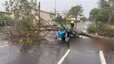 彰化郵差今出殯！母見靈車大哭「兒子好好走，別擔心我」 同事齊喊下班