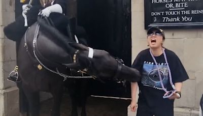 Tourist ‘faints’ after being bitten by King’s Guard horse on Whitehall