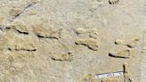 Ancient footprints really are oldest traces of humans in the Americas, scientists say