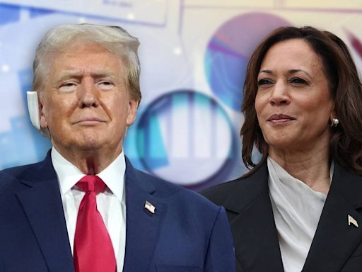 Kamala Harris ‘nada’ a contracorriente: ¿Cómo va en las encuestas contra Donald Trump?