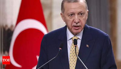 Turkey's Erdogan says 'no benefit' in resuming UN-led Cyprus talks - Times of India