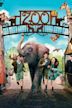 Zoo (2017 film)