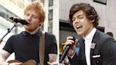 Ed Sheeran Was Asked About His Relationship With Harry Styles, And He Had The Most Supportive Response