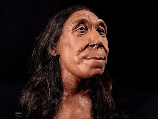 Revelan la cara de una mujer neandertal que vivió hace 75.000 años