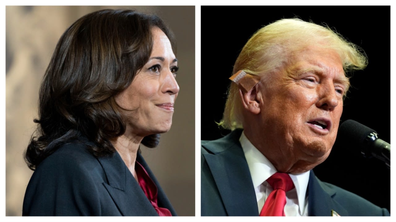 More voters say Harris has right temperament compared with Trump: Poll