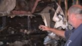 Owner won’t let boat repair business sink after fire destroys shop