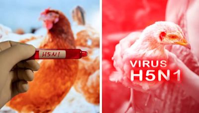 CDC Says A Second Health Care Worker Tied To Missouri Bird Flu Case Had Symptoms