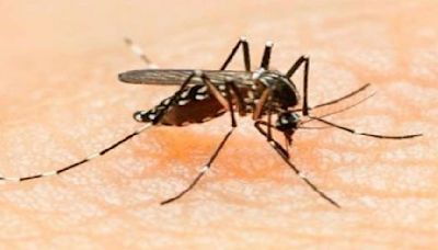 Bangladesh Records Highest Number Of Daily Dengue Cases With 1,221 Diagnoses On September 29