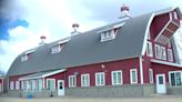 How a century-old cattle barn became a big Minnesota wedding venue
