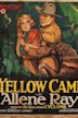 The Yellow Cameo