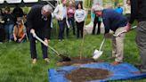 Holcomb, nature allies celebrate planting 1 million trees