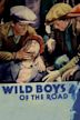 Wild Boys of the Road