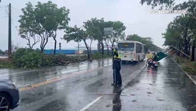 高雄狂風雨炸「路樹倒一排」 民眾直呼如颱風天