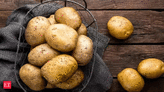 Heatwave effect: Potato prices likely to remain hot despite monsoon progress - The Economic Times