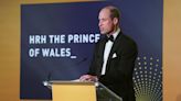 Princes William and Harry praise Diana’s legacy at London event