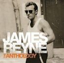 The Anthology (James Reyne album)