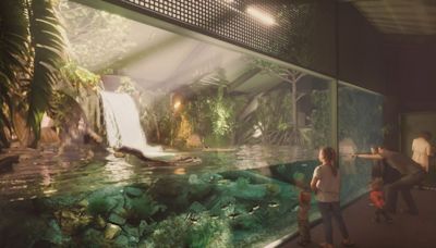 This is what Bristol Zoo's new African Forest will be like