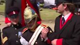 King's Guard collapses at Order of the Garter ceremony at Windsor