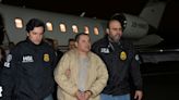 US court rejects sentence appeal by Mexican drug lord 'El Chapo'