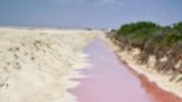 Así es El Cuyo, el último y colorido pedazo de paraíso del golfo de México