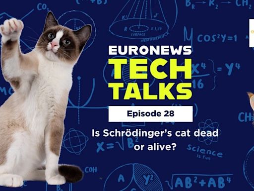 Is Schrödinger’s cat dead or alive, and other questions about quantum | Euronews Tech Talks