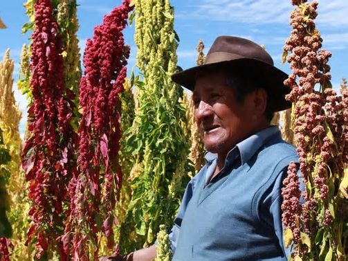 Agro a la vuelta de la esquina