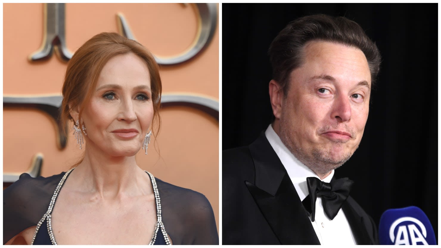 J.K. Rowling Is So Transphobic Even Elon Musk Wants Her to Shut Up