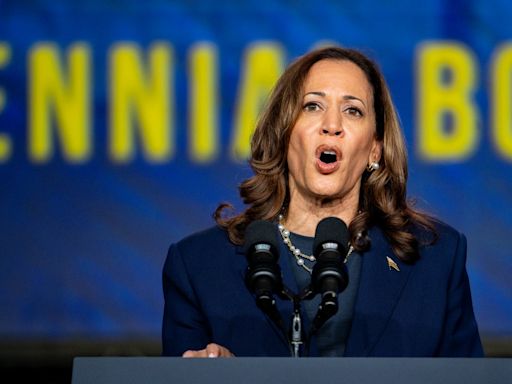 Harris responds to Trump’s attack on her racial identity as DNC virtual roll call begins to make her nominee: Live updates