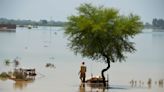 Lluvias monzónicas anegan Pakistán, dejan unos 1.000 muertos