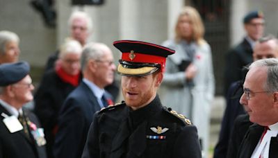 Prince Harry 'Grows Increasingly Unfriendly' as He Struggles to Embrace Life in the U.S. With 'No Practical Skills'