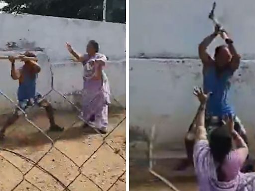 Andhra Pradesh Horror: Man Brutally Assaults Sister Using Axe Over Land Dispute In Anantapur; Video Viral