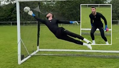 De Gea drops new transfer hint as fans say he 'could have saved the Titanic'