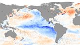 “El Niño ha terminado”: Noaa anuncia fecha de llegada de nuevo evento climático y cuáles serán sus efectos - La Tercera