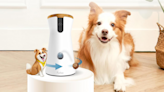 Shop Amazon Pet Day deals for 30% off this Furbo dog camera we love