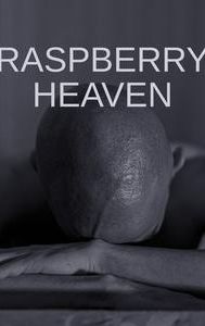 Raspberry Heaven