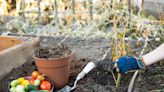 Now Is the Best Time for Gardening, According to Pros—Here's Why