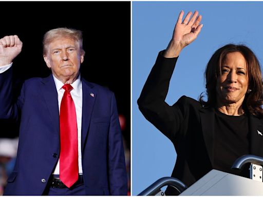 Harris set for media blitz as Trump rallies in Wisconsin with just 30 days until election: Live