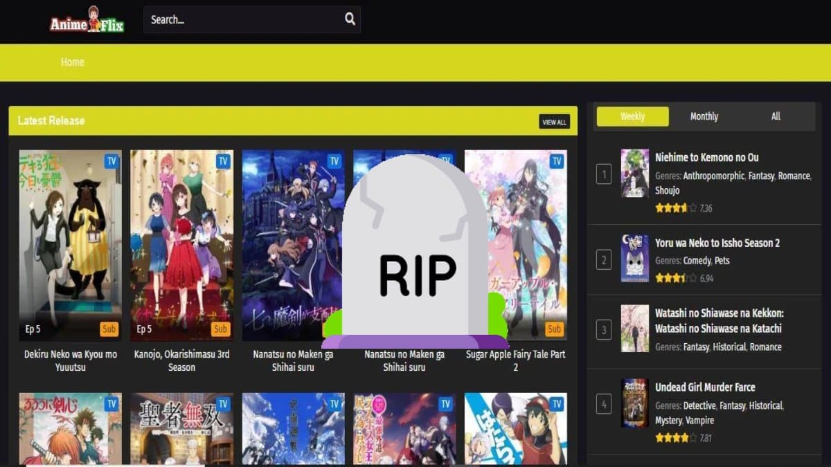 Animeflix Shuts Down; 3 Best Alternatives