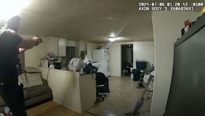 Illinois Police release bodycam video of fatal shooting of Black woman in her home