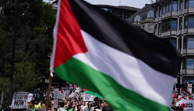 Pro-Palestine demonstrators accused of antisemitism after protesting outside Fiddler on the Roof