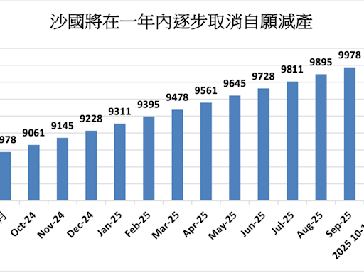 OPEC+延長減產期限 美國石油探勘井數量減少1座