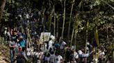 Cientos de palmeros mantienen viva una antigua tradición religiosa de Caracas