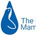 The Marine Mammal Center