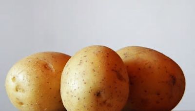 U.S. Senator Susan Collins Announces USDA to Keep the Potato Classified as Vegetable, Not a Grain