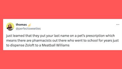 30 Of The Funniest Tweets About Cats And Dogs This Week (April 13-19)