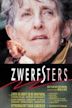 Zwerfsters