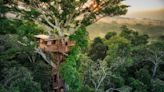 The Highest Tree House in the Amazon