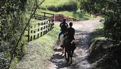 Clima de fazenda, mas conforto e preço de hotel; veja opções para relaxar perto de SP