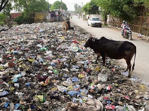 THE TRIBUNE IMPACT: Commission seeks report on garbage dumps at Jagatpura