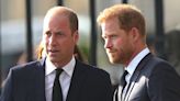 What's Next for Prince Harry and Prince William in the Wake of Queen Elizabeth II's Death